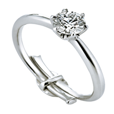 �_�C�������h�����̃����O�ɕt����